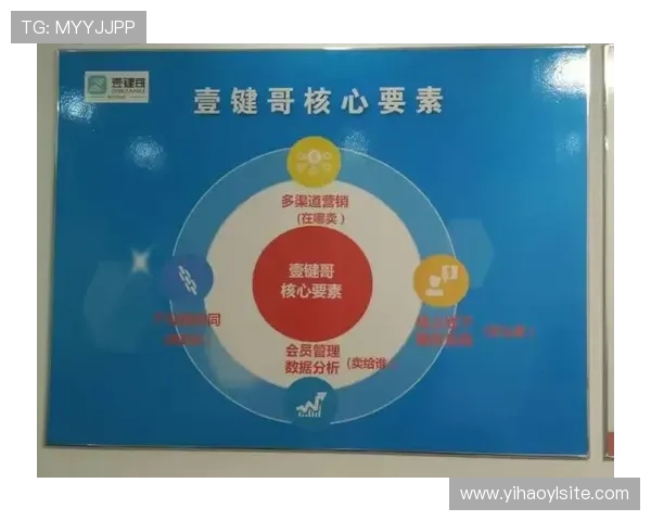 壹号官方入口：官方入口提供多渠道登录保障您的使用安全